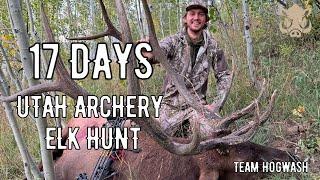 17 DAYS | UTAH ARCHERY ELK 2024