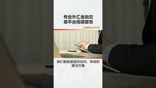 搭建金融交易平台，选择我们，专业可靠。诚信为本，专业搭建金融交易平台，助力事业发展