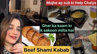 Mujhe Ap Sub ke Help Chaiya ap btaa de || Beef Shami Kabab || New Styel say Alo waly Rice banay