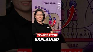 Translation Explained #neetbiology #neet2025 #riturattewal #translation