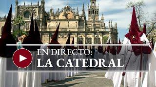 DOMINGO DE RAMOS EN SEVILLA: DIRECTO CATEDRAL