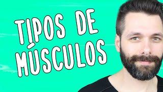 TIPOS DE MÚSCULOS - Resumo de Tecido Muscular | Biologia com Samuel Cunha