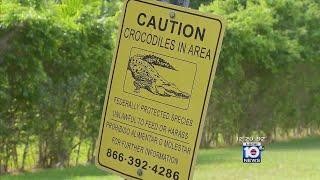 2 attacked by crocodile in Coral Gables canal