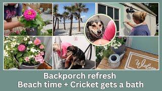 Simple BACKPORCH REFRESH + Painting my backdoor | Single wide MOBILE HOME UPDATES