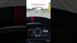 какой пробег #сашавабис #собаказевса