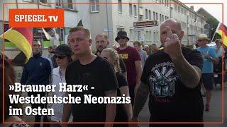 Neonazis im Harz: Von Dortmund in den Osten | SPIEGEL TV