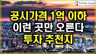 공시가격 1억 이하 이런 곳만 오른다 투자 추천지