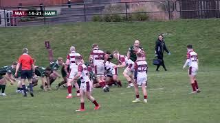 Match Highlights | Watsonians vs. Hawick RFC | January 2025