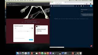 DOM BASED XSS | TUMBLR | BUG BOUNTY | POC