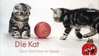 Die Kat