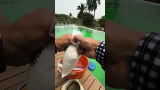 How to Remove Algae and Clear a Green, Cloudy Pool in a Single Maintenance Session 