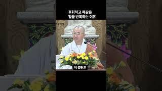 후회하고 똑같은 일을 반복하는 이유 #안심 #자비도량참법 #원빈스님 #명언 #인생조언 #법문 #행복  #격언  #지혜