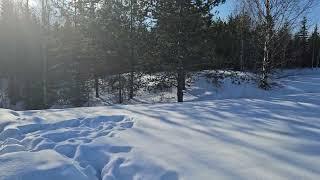 Haukijärven uimaranta ja laavu 11.3.2025. Lehtovaara, Kajaani