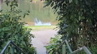 Kuranda - After the Tourist Hoards have gone.  Barron River. Riverboat Cruise.