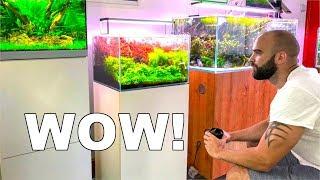 I've NEVER Seen Fish Tanks Look This Good ᴴᴰ - Aquarium Gardens UK - Full Aquascaping Shop Tour