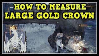 MHW Iceborne Barioth Large Gold Crown (How to Measure Gold Crown Guide)