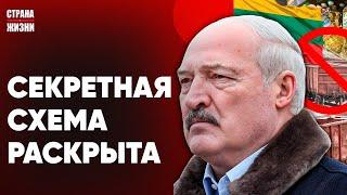 ЛУКАШЕНКО В БЕШЕНСТВЕ. Режимная лазейка закрыта. Осиповичи остались без воды. Очереди на границе