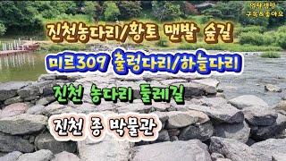 진천 농다리/황토맨발 숲길/미르309 출렁다리/하늘다리/진천 농다리 둘레길/진천 종 박물관