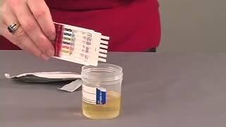 DrugCheck Dip Test Procedure Video