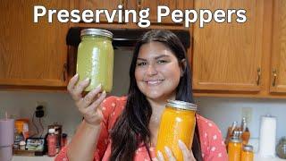 Making homemade hot sauce and pepper powder | Pepper garden harvest & preserving