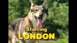 Littlest Hobo Maybe Tomorrow theme song