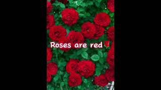Send this to your best friend
