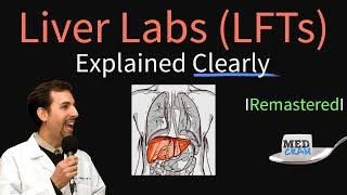 Liver Function Test Interpretation (LFTs) | Liver Enzymes Remastered (Bilirubin, GGT, Alk Phos)