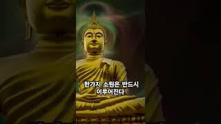 한가지 소원은 무조건 이루어진다 영인스님 1천만독 소원성취 천수경 #불경 #염불 #buddha #healing