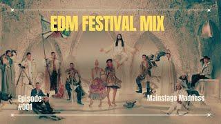 Sick EDM Festival Drops 2024 | Mainstage Madness Mix - Big Room, Ultimate Festival Mix, Warm Up Mix