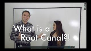 What is a root canal?