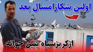 اولین شکار امسال بعد کریز سیاه پتین جوانه بیننده ما باشید/0135Afghan Shawqi