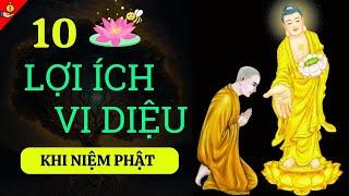 10 Công đức niệm phật - Lợi ích của người niệm hàng ngày câu “ Nam Mô A Di Đà Phật” trước khi ngủ