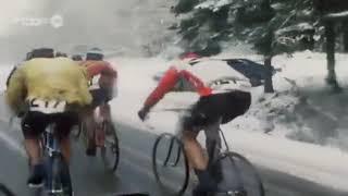 Eddy Merckx, Jose-Manuel Fuente and Felice Gimondi Competes In 12th Stage 1974 Giro d 'Italia