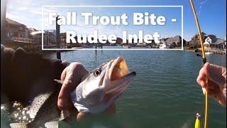 Fall Speckled Trout Bite at Rudee Inlet. 20 plus in a hour!