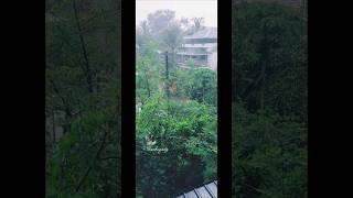 kappa lovers #shortvideo #short #kappa