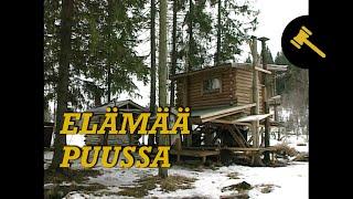 Elämää puussa | Karpolla on asiaa