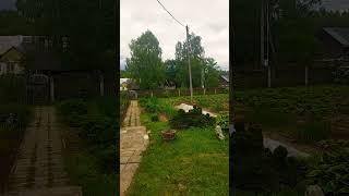 вечер #жизньпенсионера