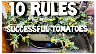 10 RULES HYDROPONIC TOMATOES