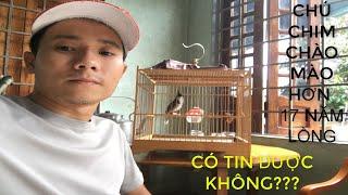 Chú Chim Chào Mào Già Nhất Nhì Đất Quảng Trị Việt Nam