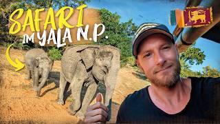 Die BESTE SAFARI in SRI LANKA! Wilde Tagestour durch den Yala National Park