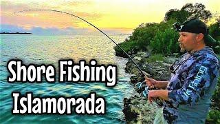 CRAZY FUN!! Shore Fishing the SPORT FISHING CAPITAL OF THE WORLD!! Islamorada Florida