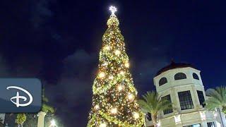 Disney Springs Christmas Tree Stroll Presented By AdventHealth | Walt Disney World