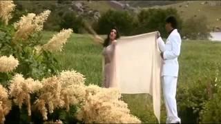 BAADSHAH - HAM TO DEEWANE (720p HD)