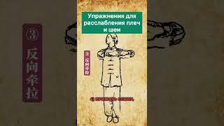 Упражнения для расслабления плеч и шеи