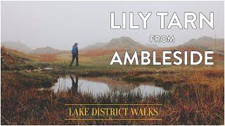 Lily Tarn from Ambleside: A short walk in The Lake District