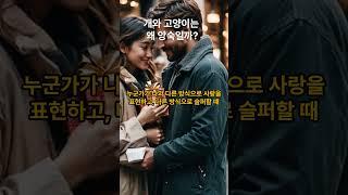 개와 고양이는 왜 앙숙일까? #다름 #생각 #배려 #역지사지 #이해 #사랑