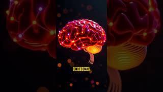 “The Expansion of Consciousness: What They Never Told You | Mind Awakening Documentary”