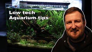 How to Succeed with Low Tech Planted Aquariums | Advice for better results!