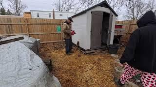 frozen water down, no truck heat, chicken house door