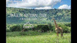 Akagera National Park Safari | Rwanda | A Beautiful Story